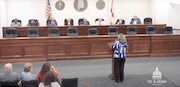 Sen. Vivian Figures speaks at the Joint Prison Oversight Committee on July 24, 2024. The meeting can be watched on the Alabama Channel. (Screenshot)