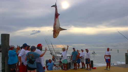 The 91st Alabama Deep Sea Fishing Rodeo opened on Friday, July 19, 2024.