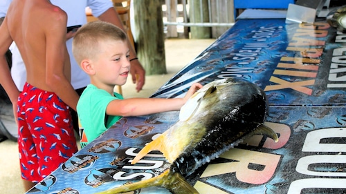 The 91st Alabama Deep Sea Fishing Rodeo opened on Friday, July 19, 2024.