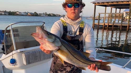 Tropical fish found off Alabama coast as waters warm: ‘They’re everywhere you go’