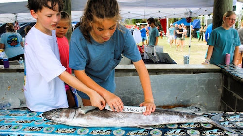 The 91st Alabama Deep Sea Fishing Rodeo opened on Friday, July 19, 2024.