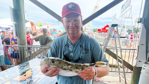 The "Most Unusual" category has been part of the ADSFR since 1984, when it was created at the urging of marine scientist Bob Shipp.