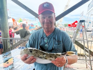  Why a rare puffer fish made scientists misty-eyed in Alabama