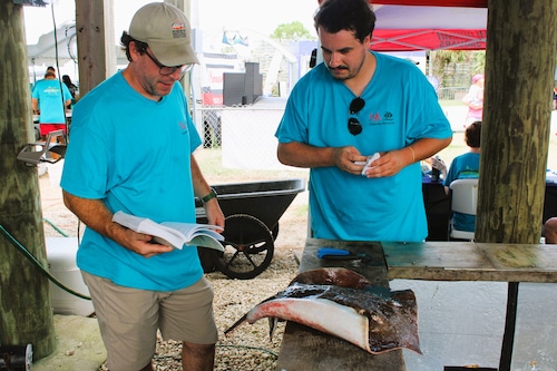 The 2023 ADSFR took place July 21-23, 2023, drawing thousands of spectators to the rodeo site on Dauphin Island.