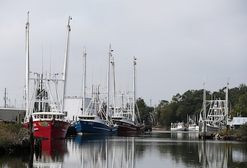 Alabama shrimp