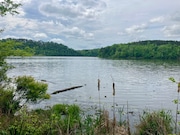 The Freshwater Land Trust preserves this peninsula where Mulberry Fork, Locust Fork and the Black Warrior River connect in the Black Warrior River basin.